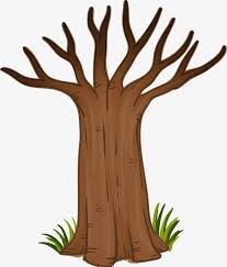 trunk trunk trunk